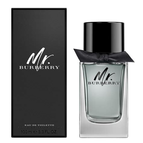 mr burberry by burberry|burberry mr burberry edt 100ml.